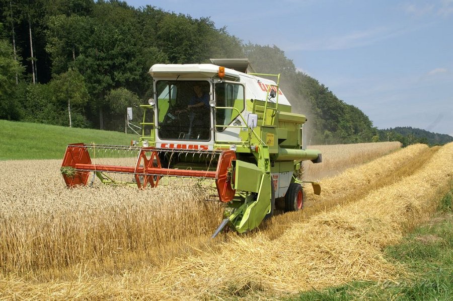 Claas Drescher 65